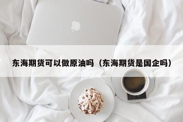 东海期货可以做原油吗（东海期货是国企吗）