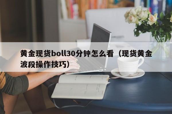 黄金现货boll30分钟怎么看（现货黄金波段操作技巧）